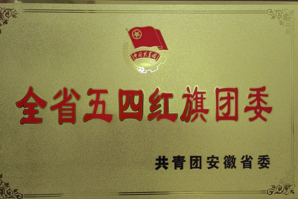 公司團(tuán)委獲得一項(xiàng)省級榮譽(yù) 公司團(tuán)委獲得一項(xiàng)省級榮譽(yù)